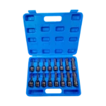 3653 SET DE PUNTAS TORX AZUL X 16 PIZ T16