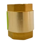 6201C VALVULA CHEQUE DE RETENCION 1″