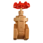 6205 VALVULA DE COMPUERTA 2″